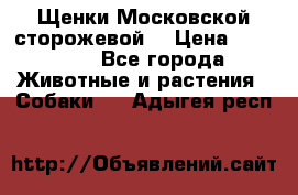 Щенки Московской сторожевой  › Цена ­ 25 000 - Все города Животные и растения » Собаки   . Адыгея респ.